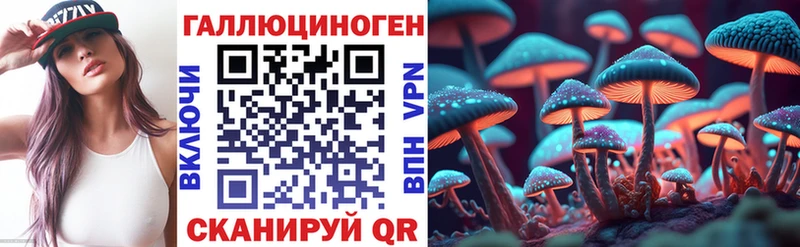 Псилоцибиновые грибы Psilocybe  Купить где  Арсеньев 